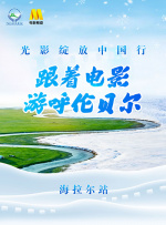 短视频91
